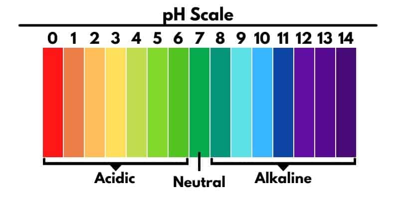 ph scale couch to homestead