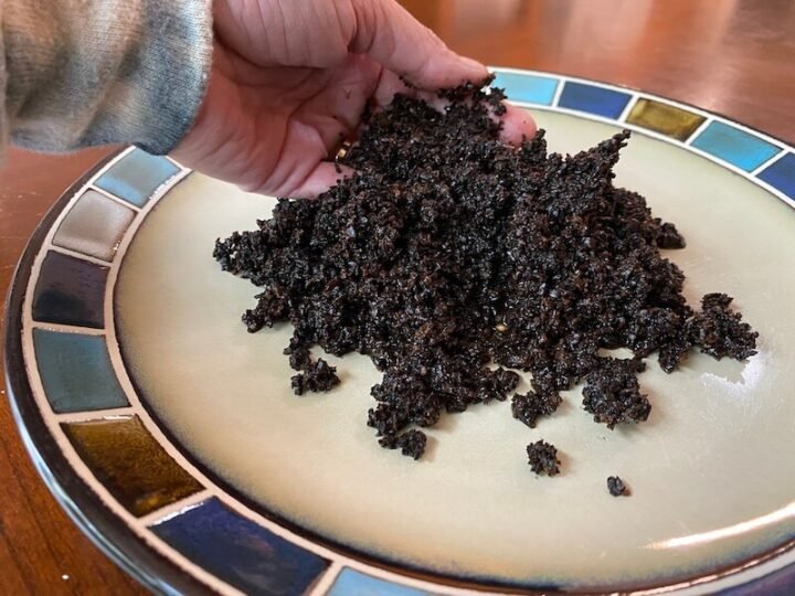 Are Coffee Grounds Good for Banana Trees? Couch to Homestead