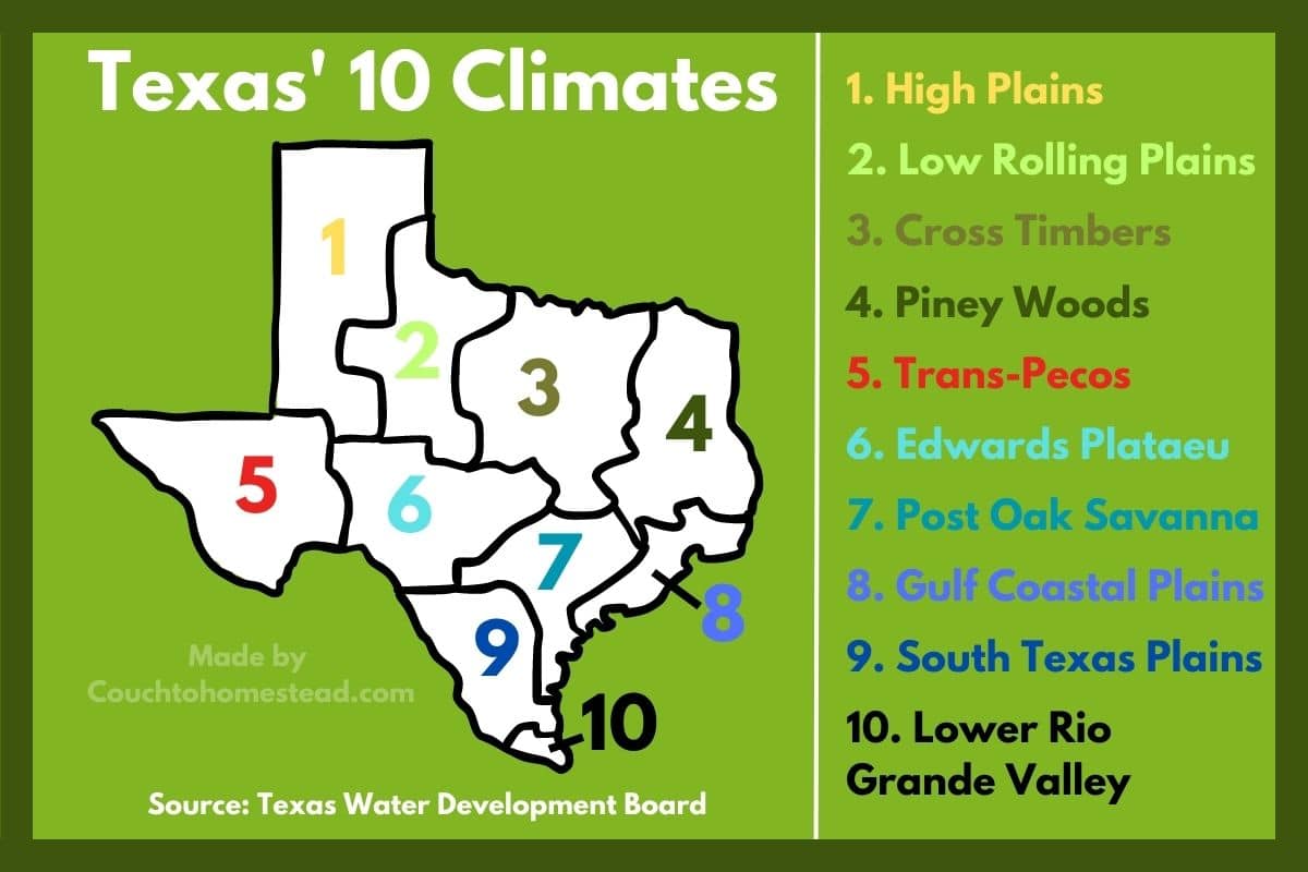 The 10 Best Fruit Trees to Grow in Texas Couch to Homestead